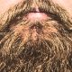 Beard Oil Frequently Asked Questions